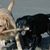 Aunt Tina's Kennels, LLC's profile image