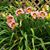 Theresa Broccio Philbrick's profile image