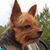 Jodie Heflin's profile image