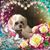 Sally Stevenson's profile image