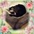 Stacy Jenisek's profile image