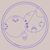Paul Grosse's profile image