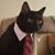 Mark Shaskey Jr.'s profile image