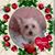 Sharon Lake's profile image