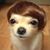 Patti Winton's profile image