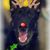 Lisa Carey Mellon's profile image
