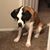 Kellie Miller's profile image