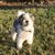 Sandy Loudermilk's profile image