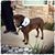 Heather Lynn's profile image