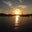 David Shedrow's profile image