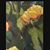 Janet Moeller's profile image