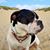 Tracy Davenport's profile image