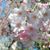 Kathy Findlay's profile image