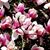 Andrea Bertram's profile image