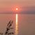 Sherry Heenan's profile image