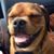 Loraine McColl's profile image