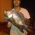 Steven Tellez's profile image