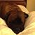 Michelle Ann Brady's profile image