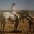 Susan Kerins's profile image