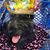 Willyiam Rowell's profile image