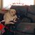 Sarah Corinne Hedrick's profile image