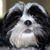 Carol Matheson's profile image