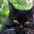 Holly Martino's profile image