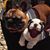 Lisa N Leo Coffey's profile image