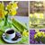 Cindi Heughins Floridia's profile image