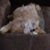 Adriane Birkmeier's profile image