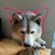Mary K. Campbell's profile image