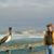 Prof M Millman's profile image