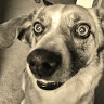 Maru L.'s profile image