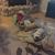 Sandy Carroll Webb's profile image