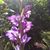 Deanne McCoy's profile image