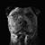 Mahlon Patterson's profile image