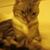 Esther Odgis's profile image