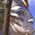 Robert Newsome's profile image