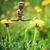 Suzanne Gagne Roy's profile image