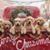 Janet Mikulak's profile image
