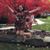 Rebekah M Mangum's profile image