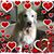 Jill Phillips's profile image