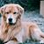 Sherlyn Doig's profile image