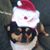 Donna Scott-Shand's profile image