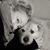 Diane Smith's profile image