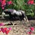 Lynette Duby's profile image