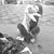 CatLovely Love's profile image