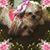 Nan Hoobler's profile image