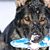 Catherine Cirone's profile image