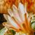 Addie Hume's profile image